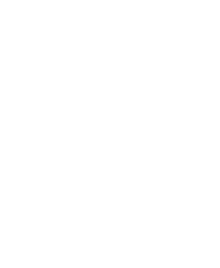 Bogie Mounted Brake Cylinder